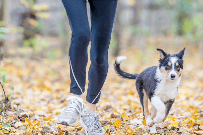 woman running with dog