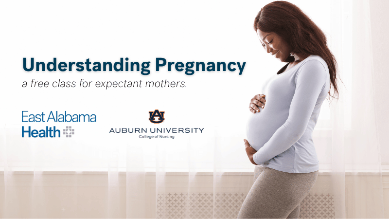 Understanding Pregnancy